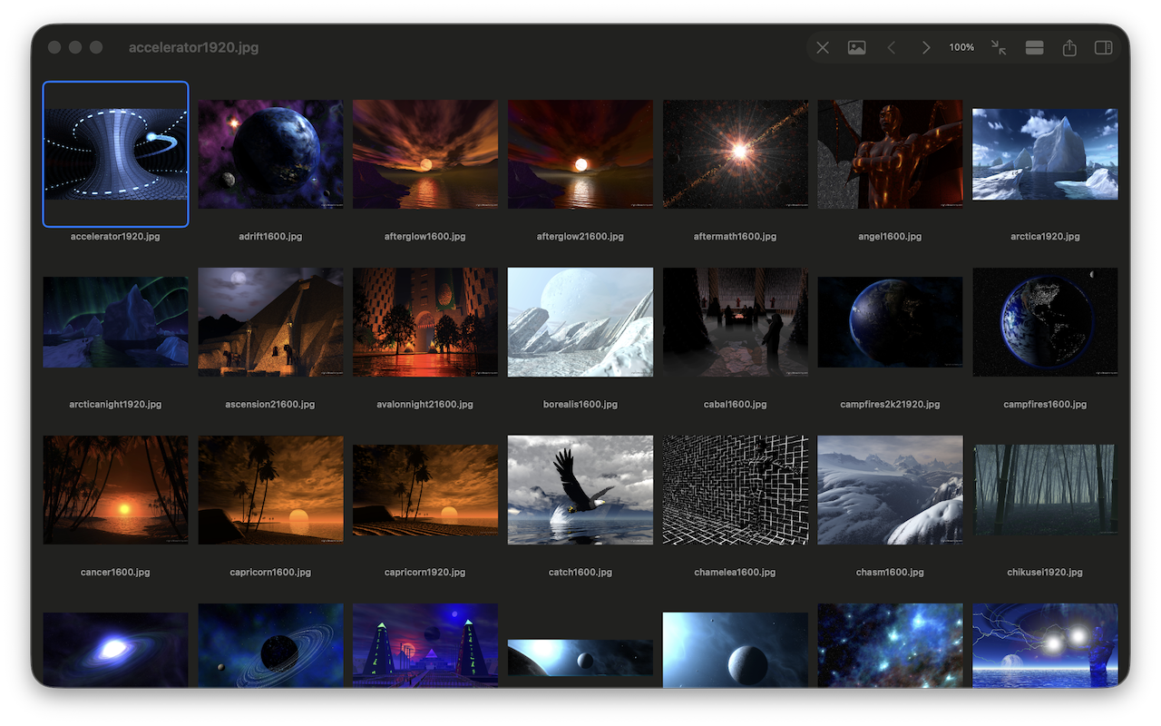 Image gallery — a grid of photo thumbnails