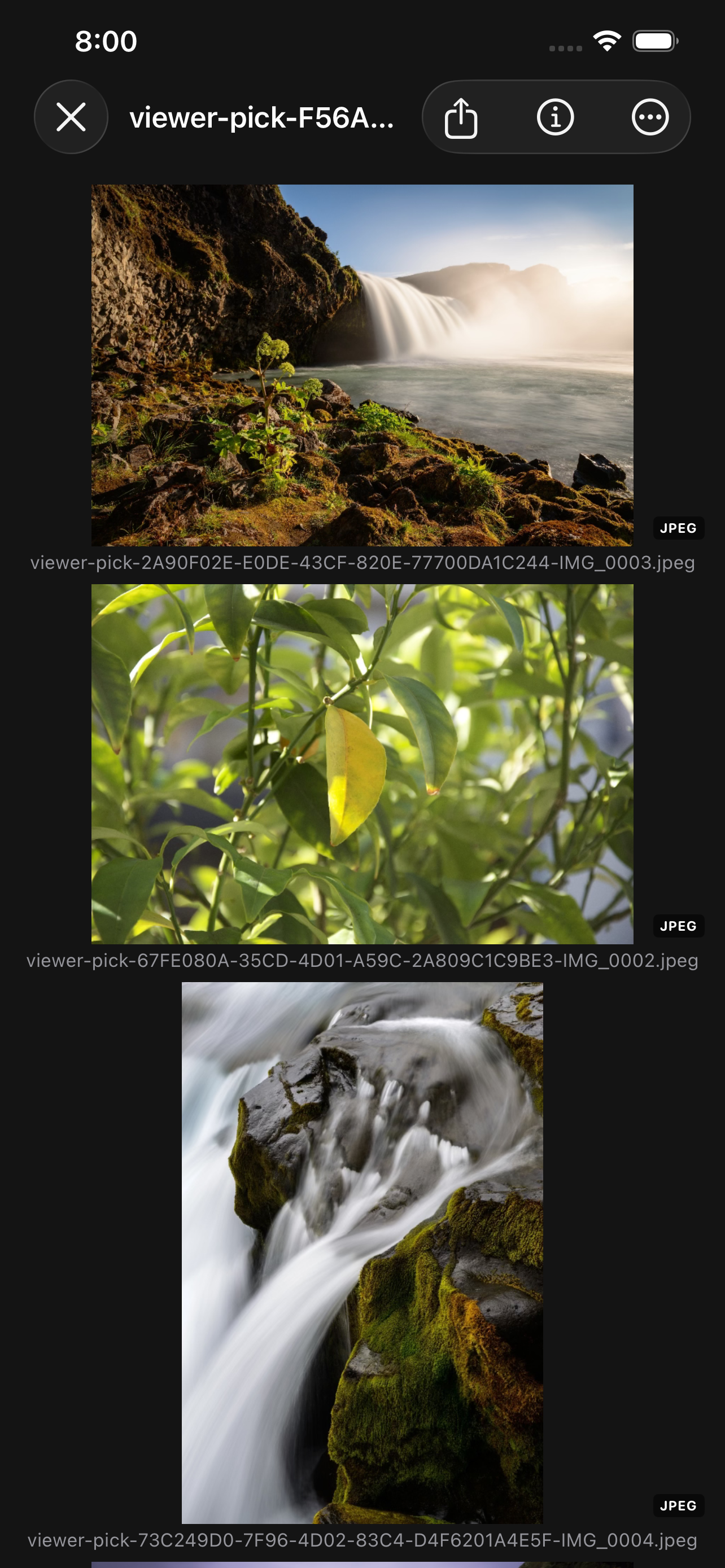 A folder of photographs on iPhone &mdash; a scrolling gallery of landscape and macro shots, each with its file name and a JPEG badge in the corner